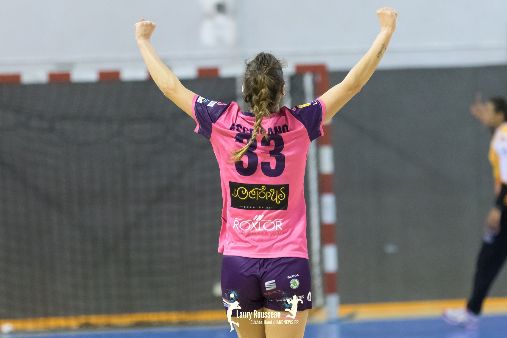 nantes loires atlantiques handball candidature